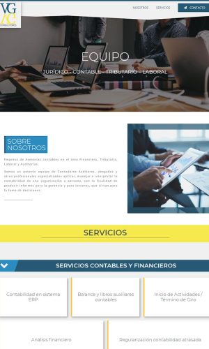 VG-Consultores-web